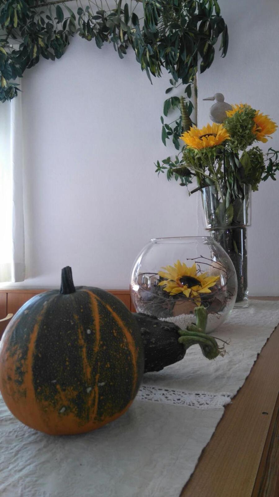 Hotel Haselried 티롤로 외부 사진